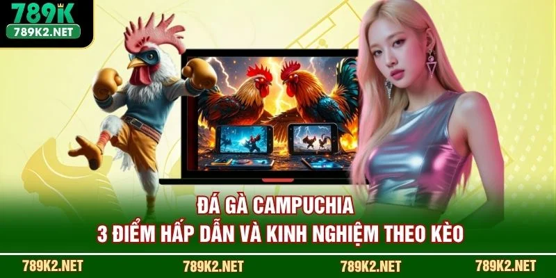 Đá Gà Campuchia