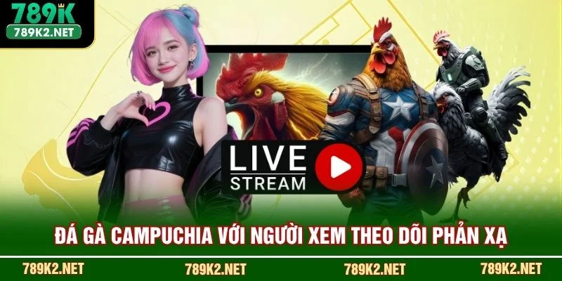 Đá gà Campuchia với người xem theo dõi phản xạ