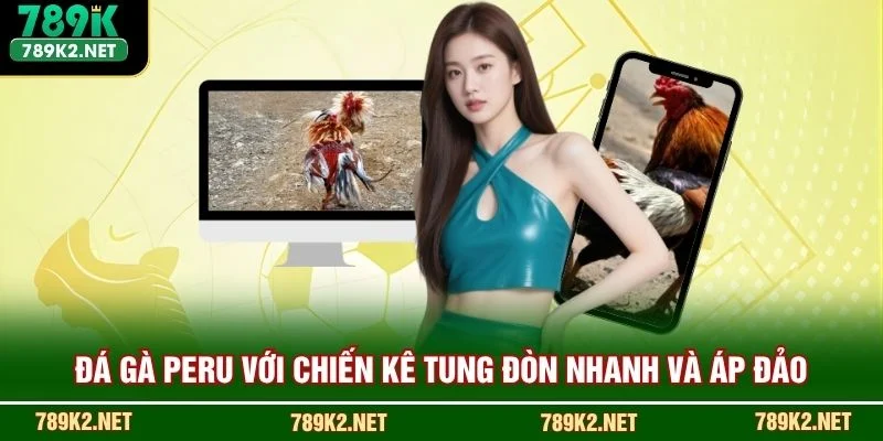 Đá gà Peru với chiến kê tung đòn nhanh và áp đảo