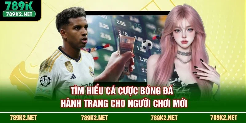 Cá Cược Bóng Đá